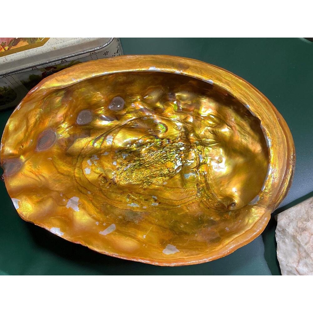 Vintage Hollywood Regency Coastal Abalone Pearl Shell Cigar Ashtray - Picture 8 of 9